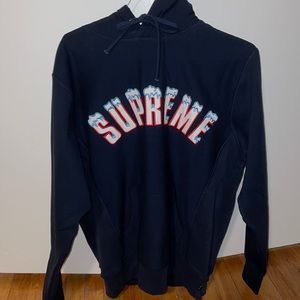 Supreme Icy Hoodie